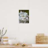 Poster Silky Magnolia (Cuisine)