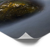 Poster Silky Water 4 (Coin)