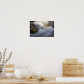 Poster Silky Water 4 (Cuisine)