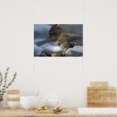 Poster Silky Water 8 (Cuisine)