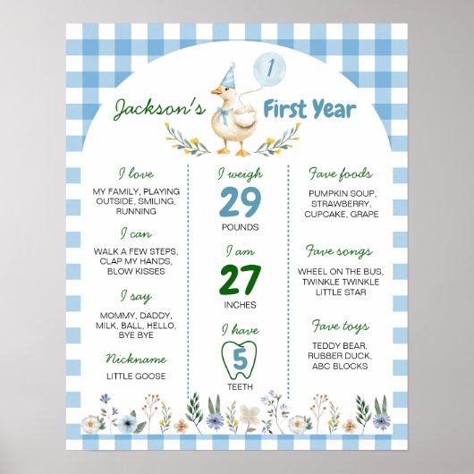 Poster Silly Goose 1er Anniversaire de la fête (Devant)