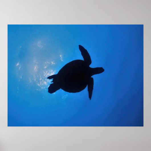 Poster Silouette Tortue de mer (Devant)