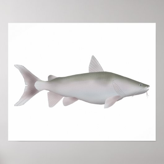 Poster Silver Cobbler (Devant)