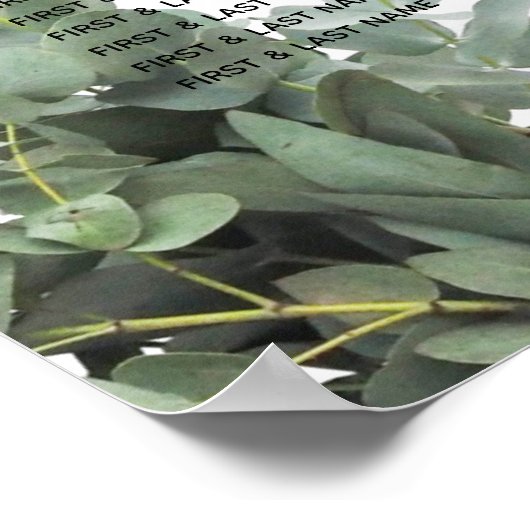 Poster Silver Dollar Eucalyptus Wedding Seating Chart (Coin)