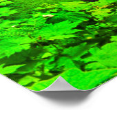 Poster Silver Falls OU (Coin)