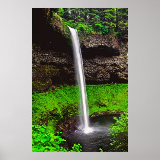Poster Silver Falls OU (Devant)