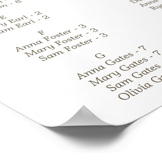 Poster Silver & Gold Elegant Winter Quinceañera (Coin)