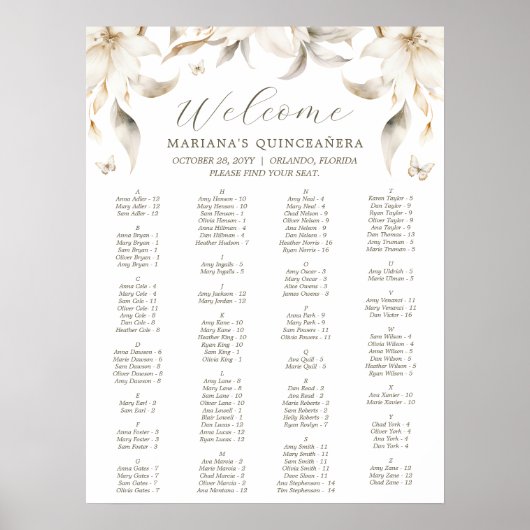 Poster Silver & Gold Elegant Winter Quinceañera (Devant)