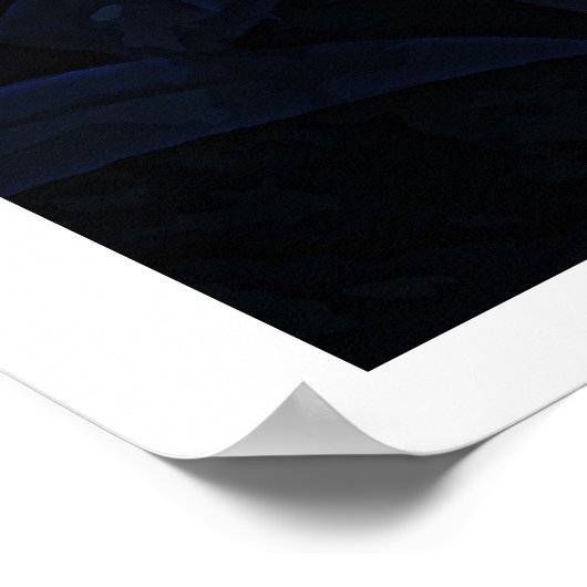 POSTER SILVER TIGER (Coin)