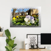 Poster Silver white pansy (Bureau à domicile)