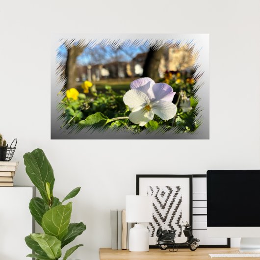 Poster Silver white pansy (Bureau à domicile)