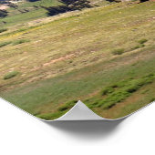 Poster Silverton 01 (Coin)
