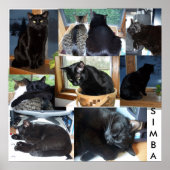 POSTER SIMBA (Devant)