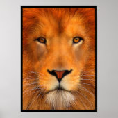 Poster Simha Lion (Devant)