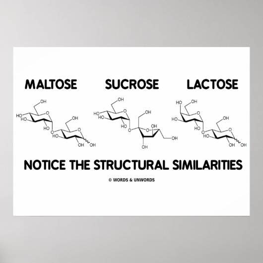 Poster Similitudes structurelles du maltose Sucrose Lacto (Devant)
