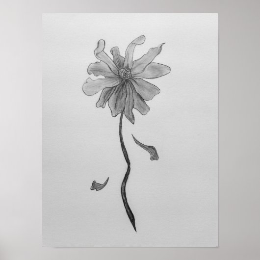 Poster Simple Daisy (Devant)