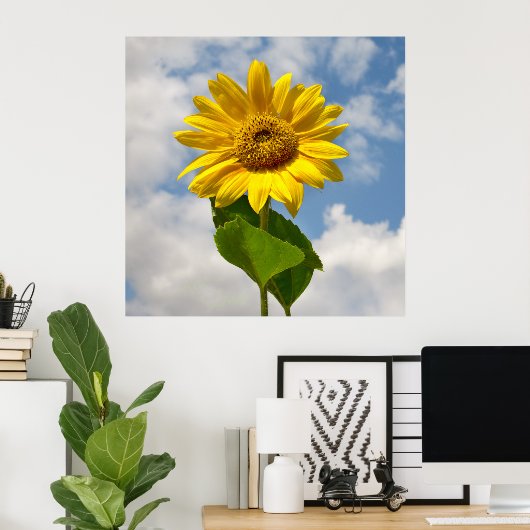 Poster Simple Tournesol Floral Photographie Botanique Can (Bureau à domicile)