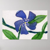Poster Simplement Vinca 2 (Devant)