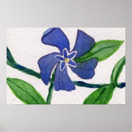 Poster Simplement Vinca 2 (Devant)