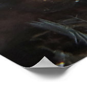 Poster Simples poissons solaires (Coin)