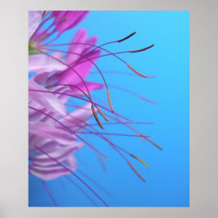 Poster Simplicité en pastel