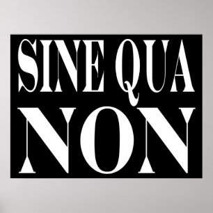 Poster Sine Qua Citation latine non célèbre : Mots à vivr