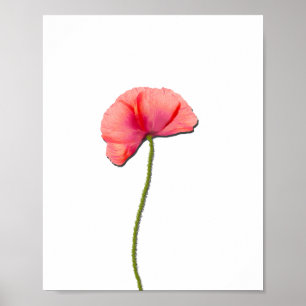 Poster Sing rouge fleur de pavot minimicité