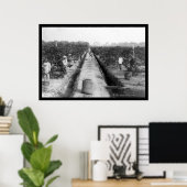 Poster Singapore Coffee Plantation 1898 (Bureau à domicile)