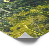 Poster Singapore Gardens by the Bay imprimer de voyage (Coin)