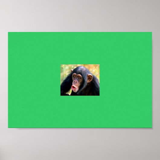 Poster singe (Devant)