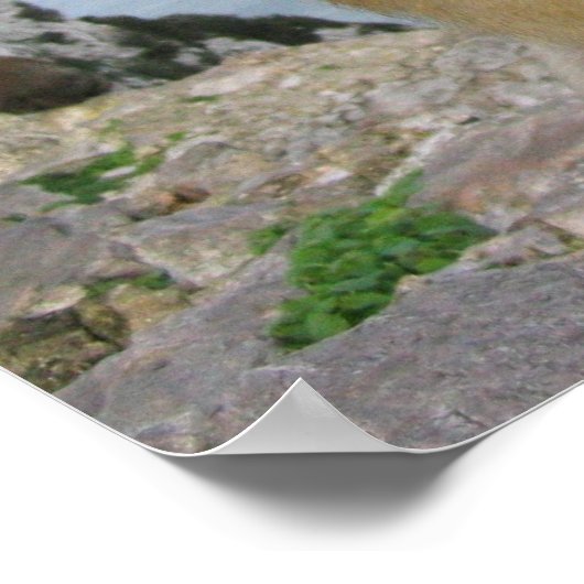 Poster Singe à Gibralter (Coin)