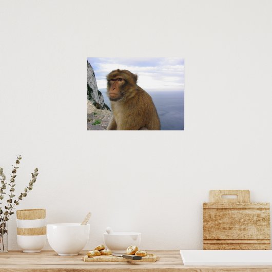 Poster Singe à Gibralter (Cuisine)