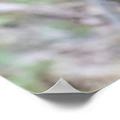 Poster Singe à nez d'or se balançant sur la branche (Coin)