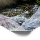 Poster Singe à nez doré avec bébé (Coin)