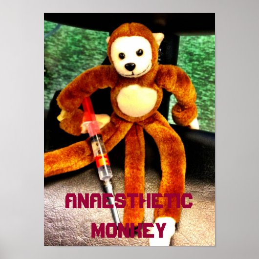 POSTER SINGE ANESTHÉTIQUE (Devant)