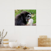 Poster Singe araignée à tête noire mangeant un fruit (Cuisine)