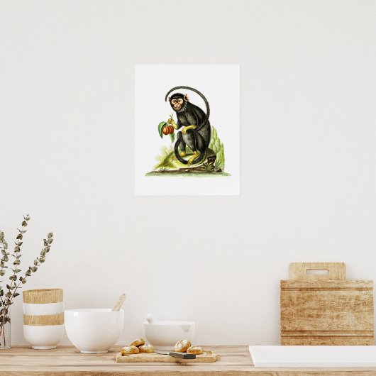 Poster Singe avec fruit (Cuisine)