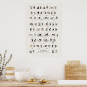 Poster Singe - Bibliothèque du naturaliste (Cuisine)