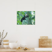 Poster Singe capucin (Cuisine)
