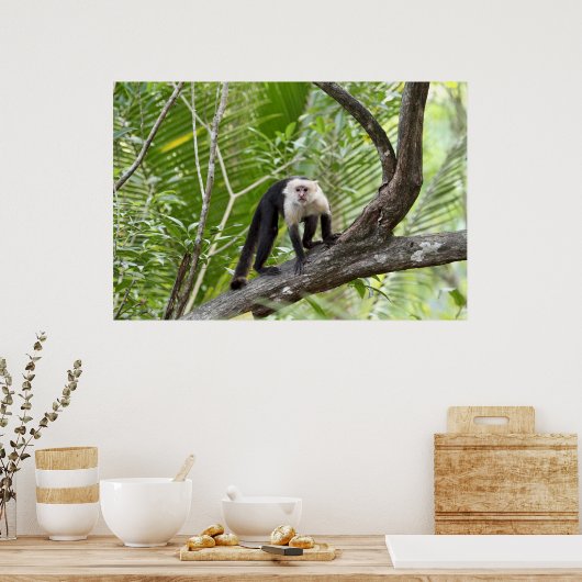 Poster Singe dans la jungle (Cuisine)