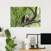 Poster Singe dans la jungle (Bureau à domicile)