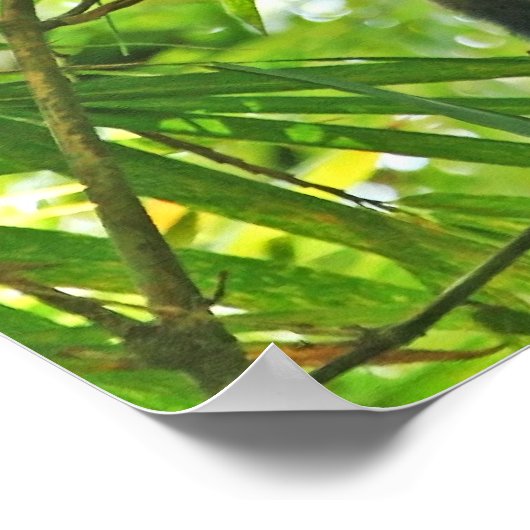 Poster Singe dans la jungle de Bambou (Coin)