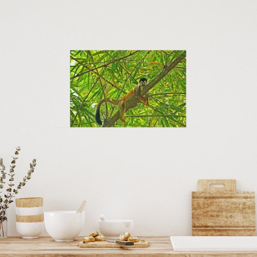 Poster Singe dans la jungle de Bambou (Cuisine)