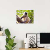 Poster Singe dans la jungle du parc national de Ranthambo (Bureau à domicile)