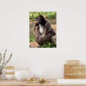 Poster Singe d'araignée variée assis sur les vacances au (Cuisine)