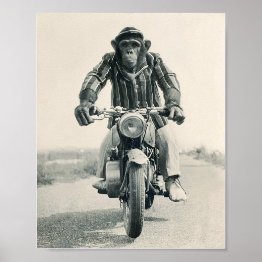 Poster Singe de moto, Ape sur moto, Vintage (Devant)