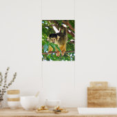 Poster Singe des écureuils (Cuisine)