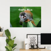Poster Singe des écureuils Costa Rica (Bureau à domicile)