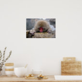 Poster Singe des neiges solitaire à Nagano, Japon (Cuisine)