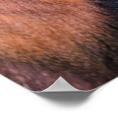 Poster Singe d'or, Rwanda (Coin)